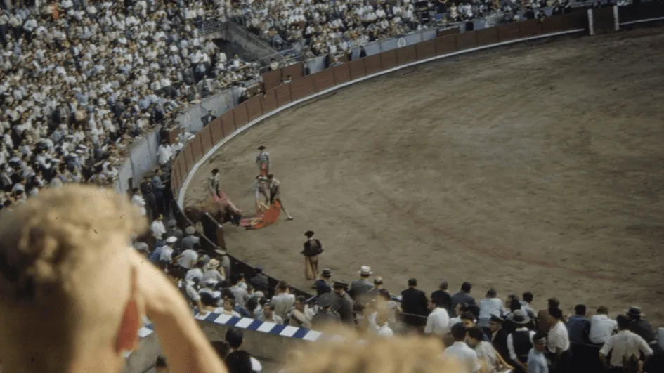 Arena.webp