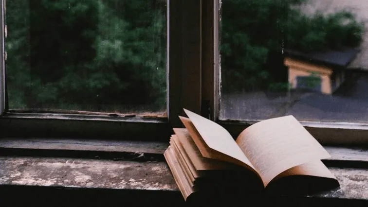 Buch auf Fensterbank.webp