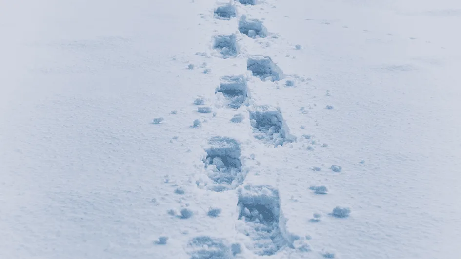 Fußspuren im Schnee.webp