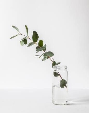 Minimalismus im Alltag- erdrückender Verzicht oder angenehme Befreiung 2.jpg