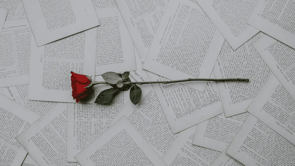 Rose auf Papieren.webp