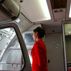 Stewardess.webp