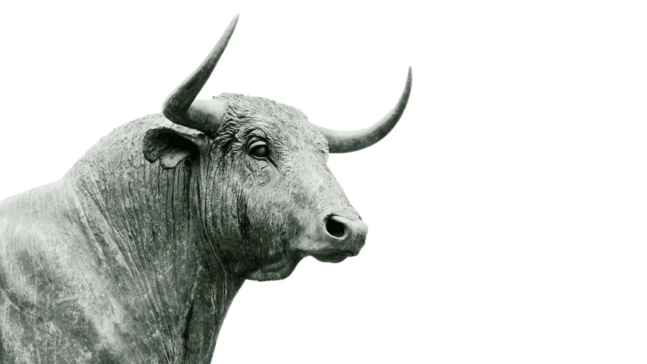 Stier.webp