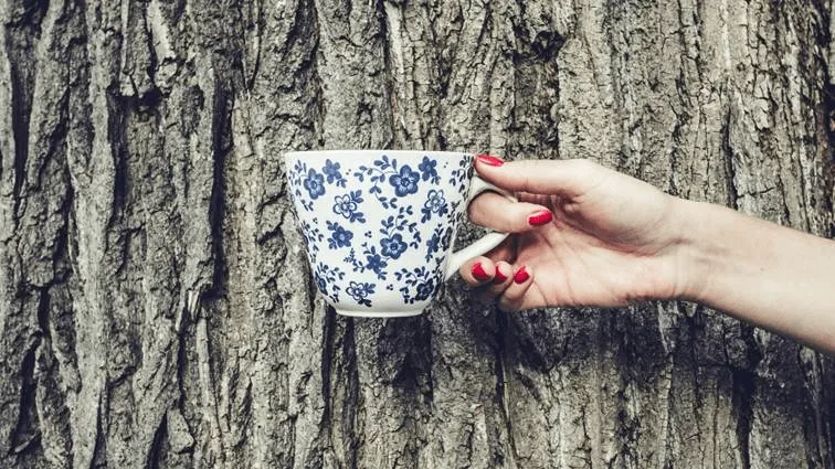 Tasse vor einem Baum.webp