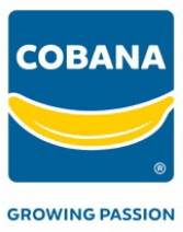 Firmenlogo