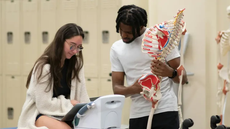 Das Losverfahren Medizin: wie du deine Chancen richtig nutzt