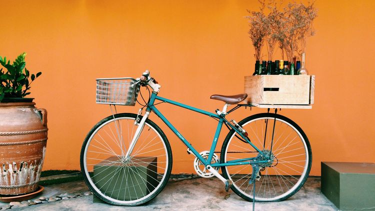 Fahrrad verkehrstauglich machen: Egal ob im Frühling, Sommer, Herbst oder Winter