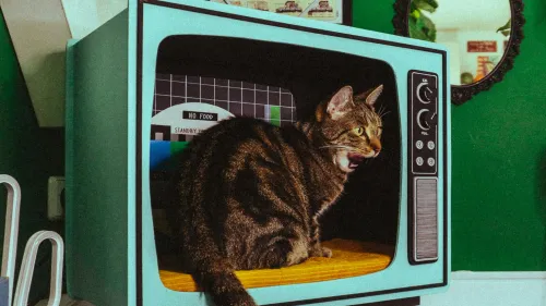 Streaming Studentenrabatt: die klugen Wege zu Musik, Filmen & Serien